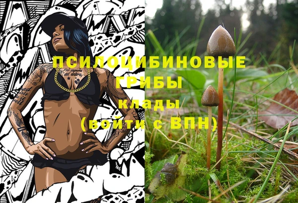 спиды Баксан