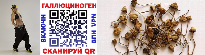 дарк нет клад  Вязьма  Галлюциногенные грибы GOLDEN TEACHER 
